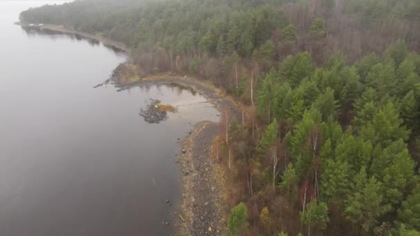 カレリア オンガ湖 ペトロザヴォツク湾 植物園の近くの森と海岸を示す空中ビデオ 湖と秋の森の水面 ロシアでの休暇の概念 — ストック動画