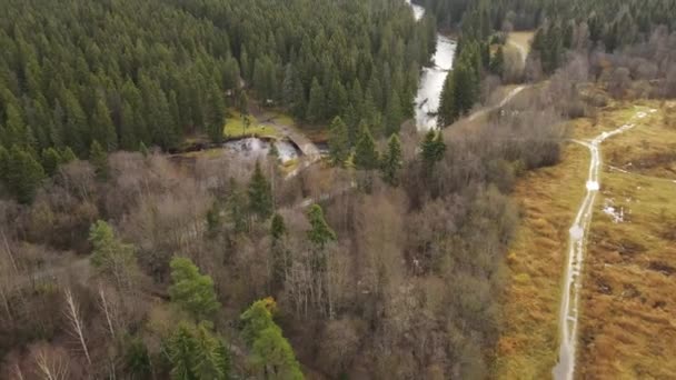 Petrozavodsk República Karelia Lososinka Frío Río Otoñal Rápidos Agua Bosque — Vídeo de stock