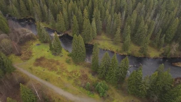 Petrozavodsk Stadt Republik Karelien Lososinka Ein Kalter Herbstfluss Stromschnellen Wasser — Stockvideo
