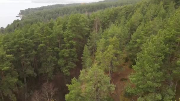 Karelia Lago Onega Bahía Petrozavodsk Vídeo Aéreo Mostrando Bosque Costa — Vídeos de Stock