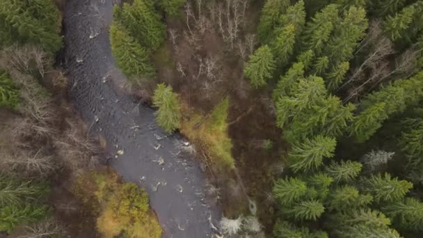 Petrozavodsk Şehri Karelia Cumhuriyeti Lososinka Soğuk Bir Sonbahar Nehri Suda — Stok video