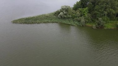 - Rusya. Istra rezervuarı ve yukarıdan gelen yaz ormanı. hava videosu.