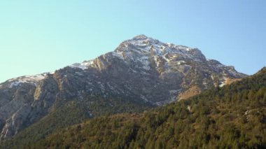 Avrasya 'da ormanı olan bir dağın zirvesi.