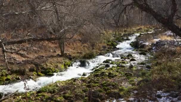 秋の緑の石の間で美しい川 — ストック動画