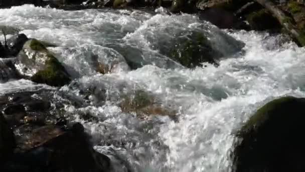 Mountain River Szybki Strumień Powolny Ruch 120Fps — Wideo stockowe