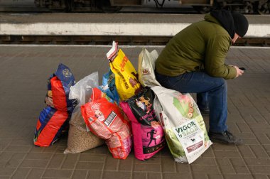 Lviv, Ukrayna - 12 Mart 2022. Rusya 'nın Ukrayna' ya karşı savaşı. Tren istasyonunda bir gönüllü işgalciler tarafından çevrelenmiş bölgelerde terk edilmiş köpekler için yiyecek teslimatı için bir tren bekliyor..