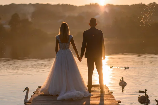 Menyasszony Vőlegény Hátul Vannak Napnyugtakor — Stock Fotó