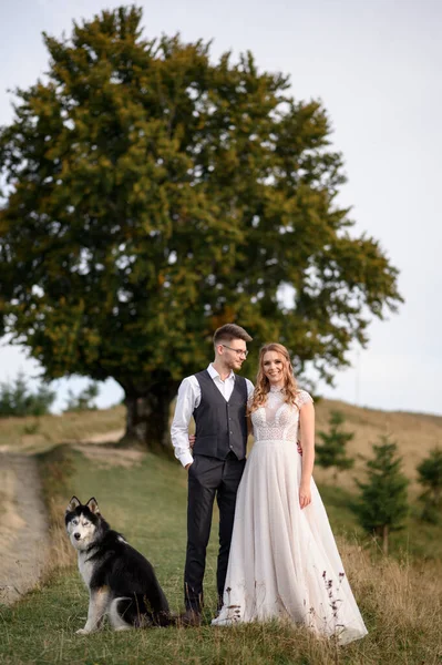 Gün batımında dağlarda köpek gezdiren bir çift. Dağlarda romantik bir akşam.