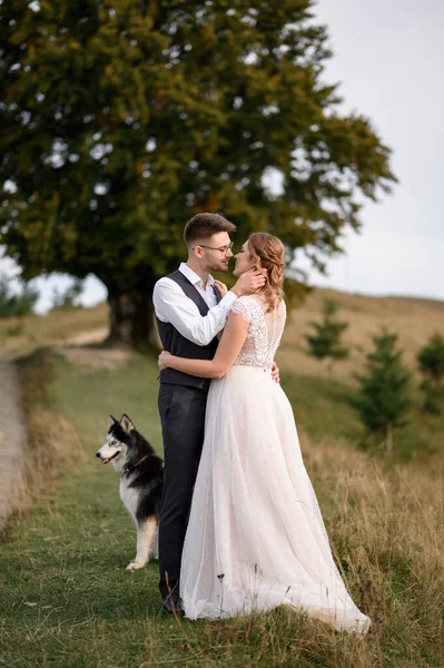 Pareja Boda Con Perro Paseando Las Montañas Atardecer Noche Romántica —  Fotos de Stock