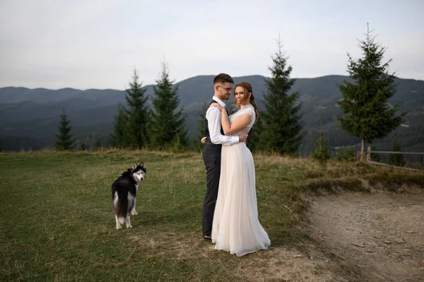 Γαμήλιο Ζευγάρι Σκύλο Περπατάει Στα Βουνά Ηλιοβασίλεμα Ρομαντική Βραδιά Στα — Φωτογραφία Αρχείου