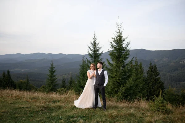Счастливая Стильная Невеста Жених Бегают Веселятся Горах Летний Солнечный День — стоковое фото