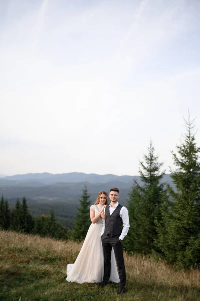 Šťastný Stylový Nevěsta Ženich Běží Baví Horách Létě Slunečný Den — Stock fotografie