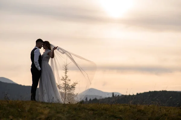 Boldog Elegáns Menyasszony Vőlegény Fut Szórakozás Hegyekben Nyári Napsütéses Napon — Stock Fotó