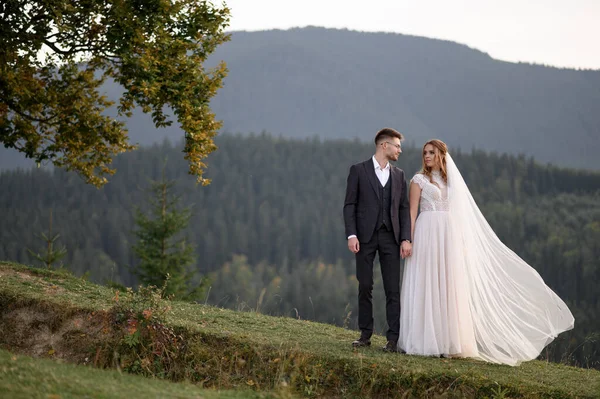 Mutlu şık gelin ve damat yaz güneşli bir günde dağlarda koşup eğleniyor.