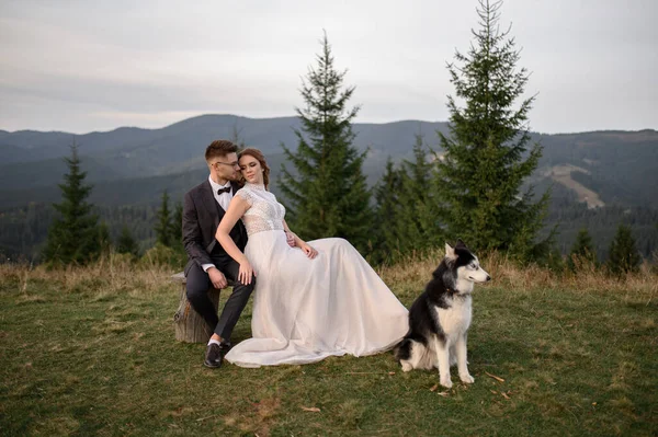 Γαμήλιο Ζευγάρι Σκύλο Περπατάει Στα Βουνά Ηλιοβασίλεμα Ρομαντική Βραδιά Στα — Φωτογραφία Αρχείου