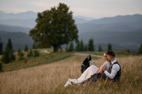 Γαμήλιο Ζευγάρι Σκύλο Στα Βουνά Ηλιοβασίλεμα Ρομαντική Βραδιά Στα Βουνά — Φωτογραφία Αρχείου