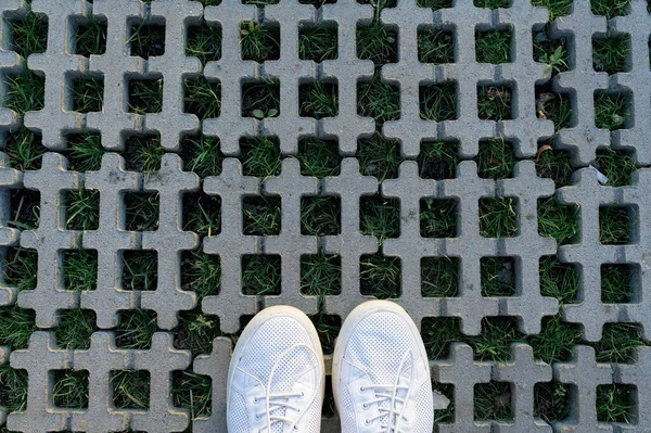 Men Summer Shoes Grass Tiles Taken — Stock Photo, Image