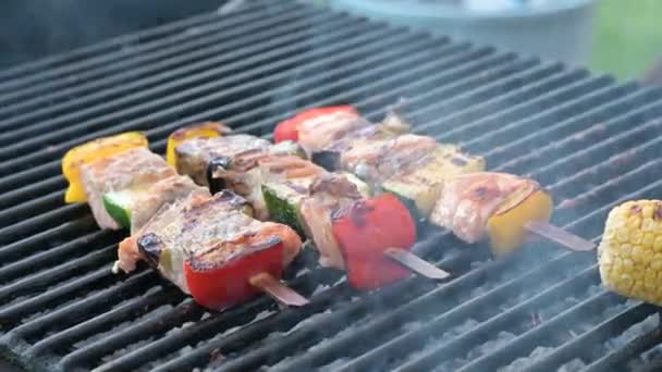 Barbecue Salmon Grilled Vegetables Cook Greases Kebab Butter — Stock Video