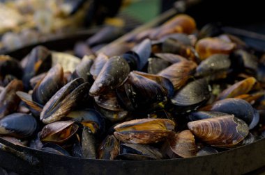 Limon ile pişmiş kızarmış midye. Sokak seefood