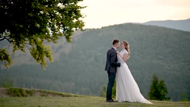 山の背景に古いオークの近くに新婚夫婦のキスと賞賛 — ストック動画