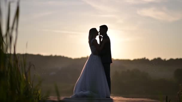 Les Jeunes Mariés Embrassent Coucher Soleil Silhouettes — Video