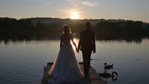 Newlyweds Walk Together Hand Hand Lake Sunset — Stock Video