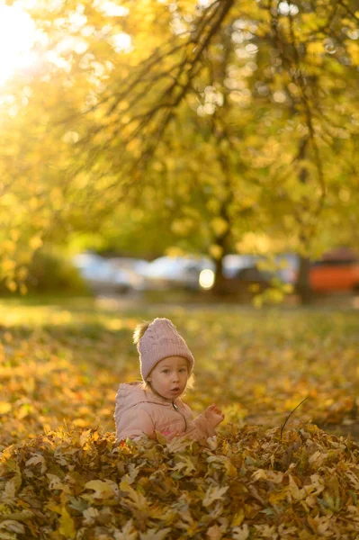 Een Klein Meisje Speelt Een Stapel Herfstgebladerte — Stockfoto