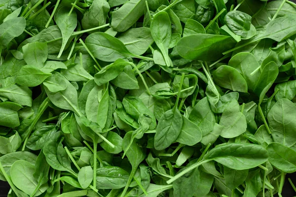 Spinach Background Full Image Top View — Stock Photo, Image