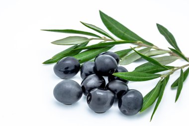 siyah zeytin