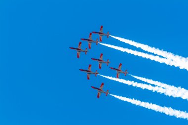 Patrulla Aguila