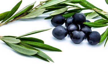 siyah zeytin