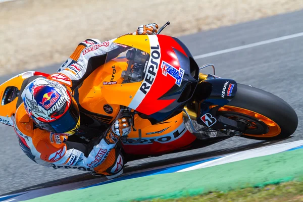 Casey stoner pilot MotoGP