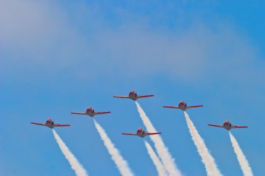 Patrulla Aguila