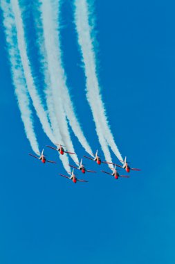 Patrulla Aguila