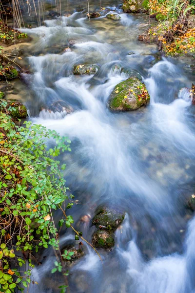 Río Majaceite — Foto de Stock