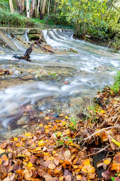 Flussmajaceite — Stockfoto