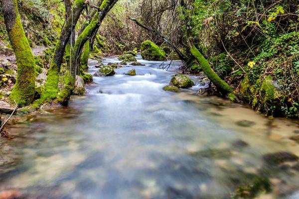 River Majaceite — Stock Photo, Image