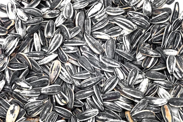 Sunflower seeds — Stock Photo, Image