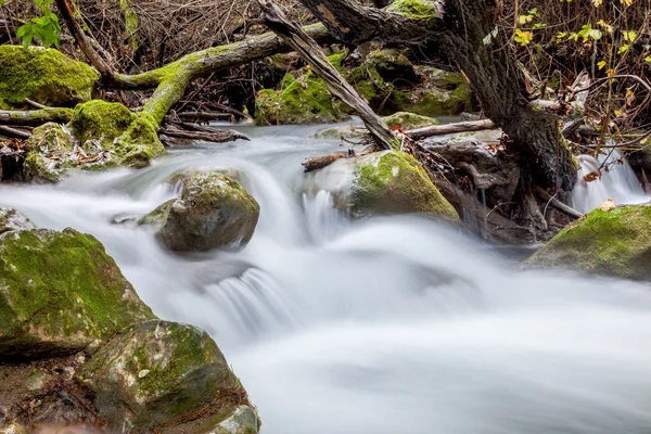 Río Majaceite — Foto de Stock