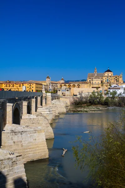 Mezquita y puente romano — Foto de Stock