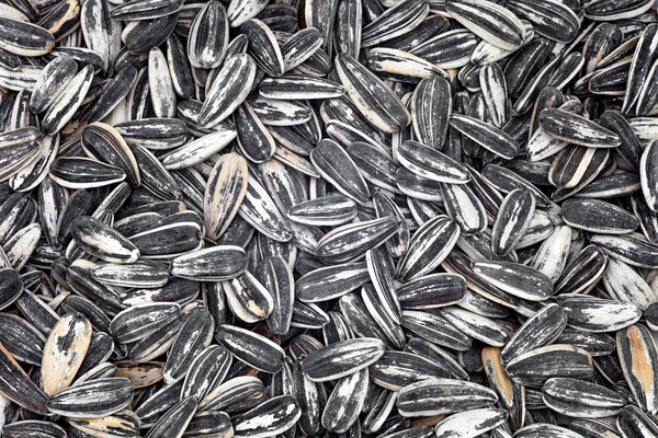 Sunflower seeds — Stock Photo, Image