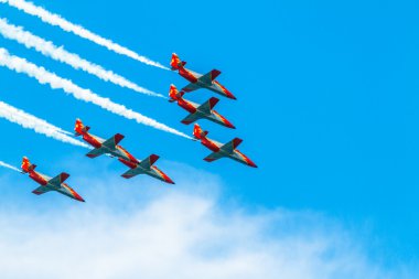 Patrulla Aguila