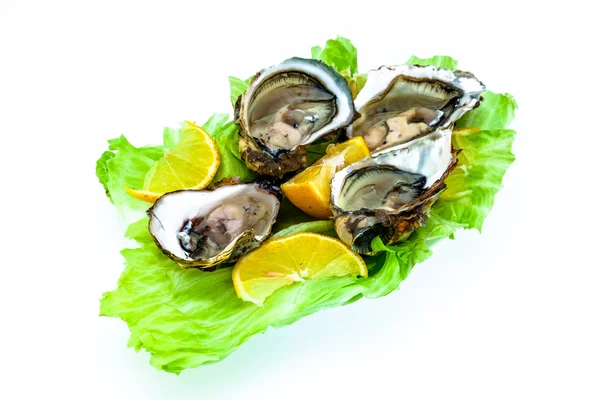 Oysters — Stock Photo, Image