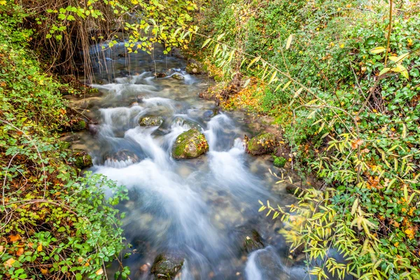 Fiume Majaceite — Foto Stock