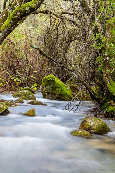 Río Majaceite — Foto de Stock