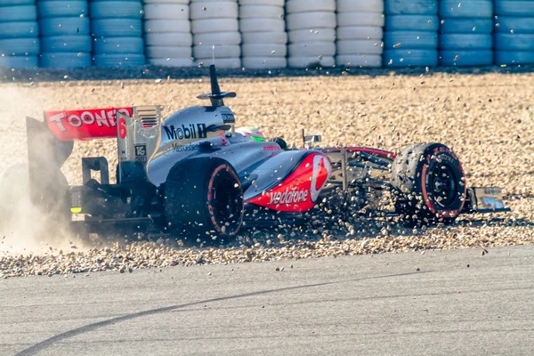 Il team Mclaren F1, Sergio Perez, 2013 — Foto Stock