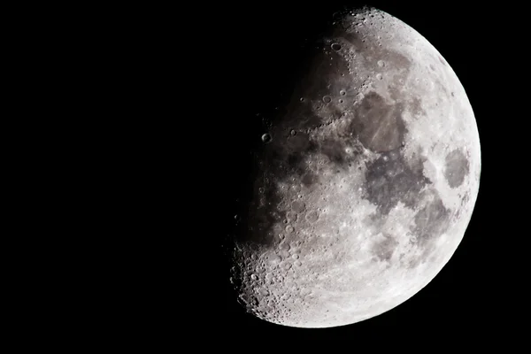 The moon — Stock Photo, Image