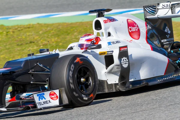 Команда Sauber F1, Камуи Феттель, 2012 — стоковое фото