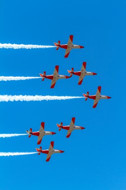 Patrulla Aguila
