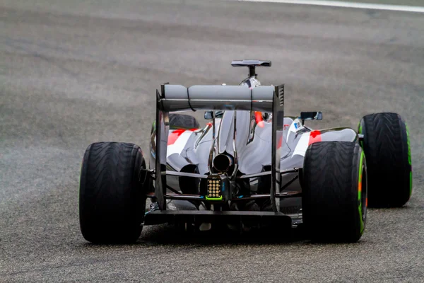 Команда Sauber F1, Адриан Сутил, 2014 — стоковое фото